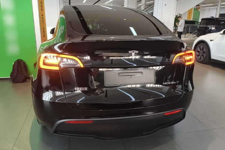 Tesla Model Y 2020 #4 Tesla Model Y 2020 car image #4