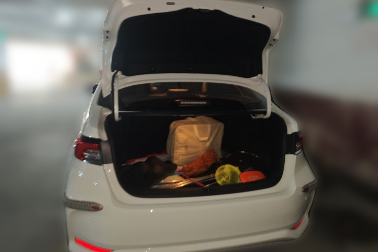 Toyota Corolla 2021 car image #17