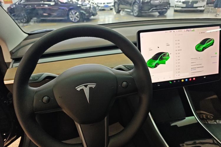 Tesla Model 3 2020 #14 Tesla Model 3 2020 car image #14