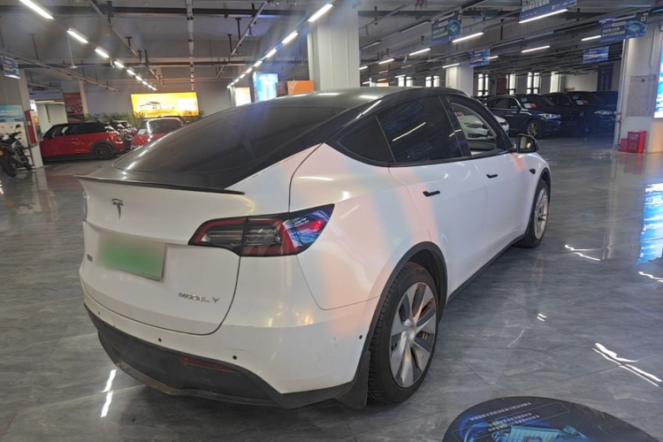 Tesla Model Y 2021 #7 Tesla Model Y 2021 car image #7