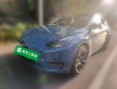 Tesla Model Y 2022 car image 