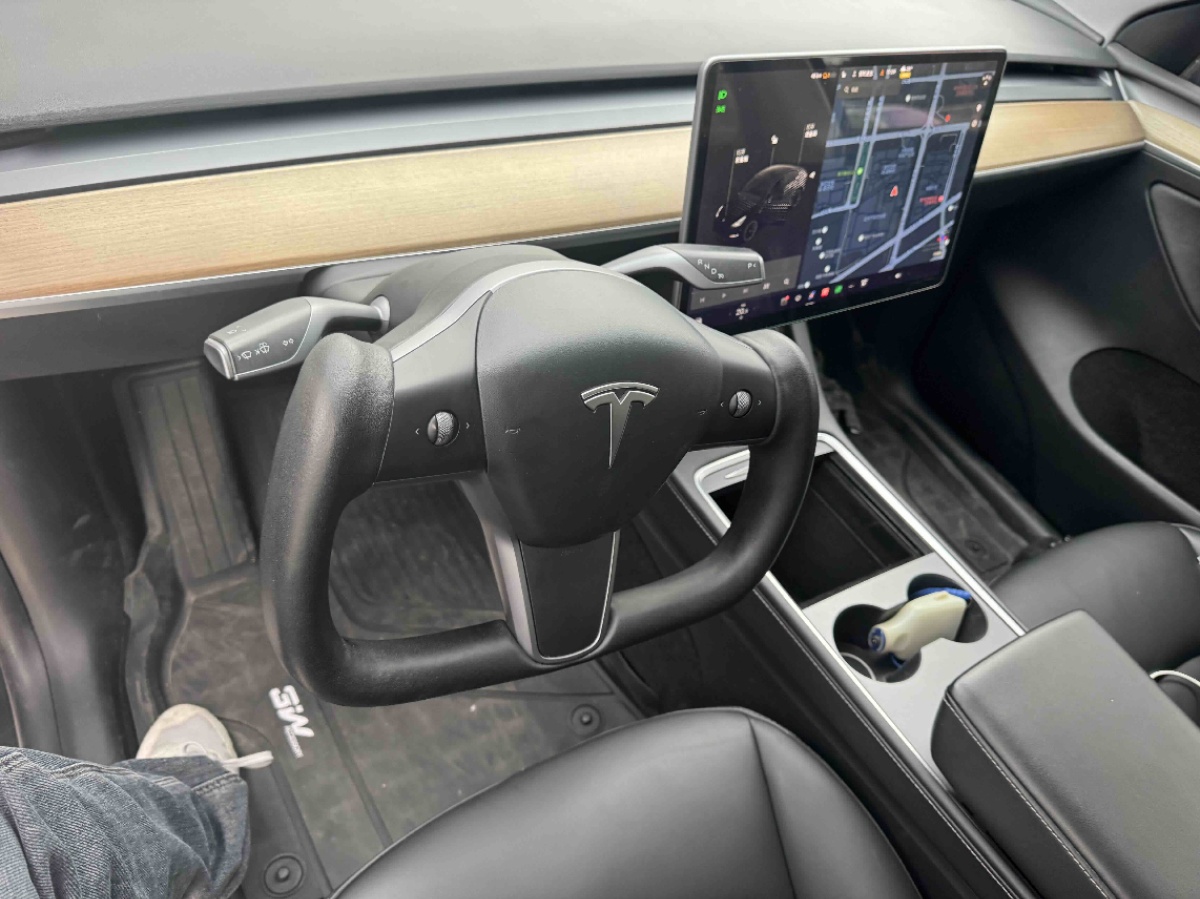 Tesla Model Y 2021 car image #4
