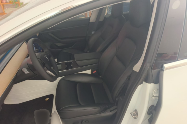 Tesla Model 3 2020 #15 Tesla Model 3 2020 car image #15