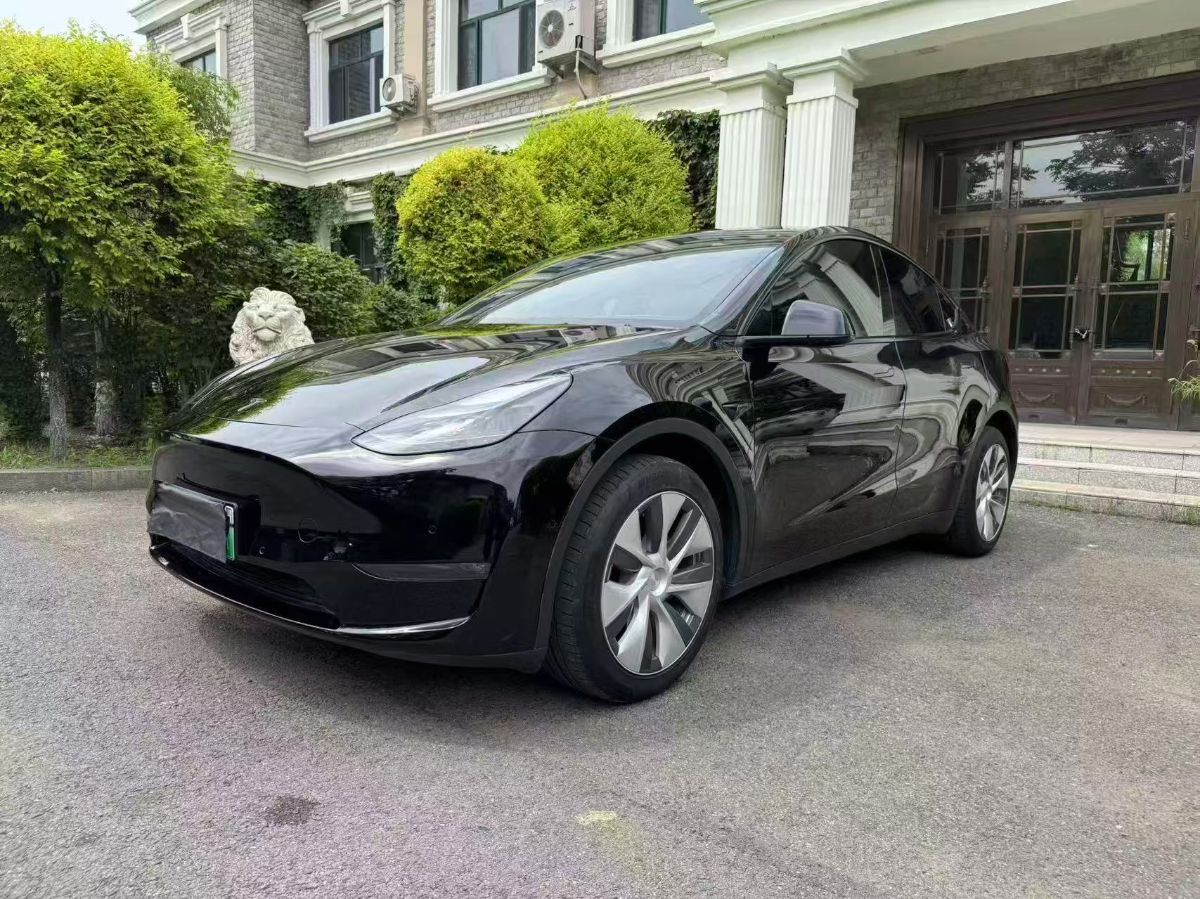 Tesla Model Y 2023 Tesla Model Y 2023 car image