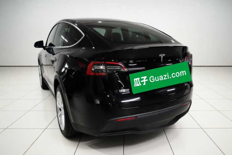 Tesla Model Y 2021 #5 Tesla Model Y 2021 car image #5