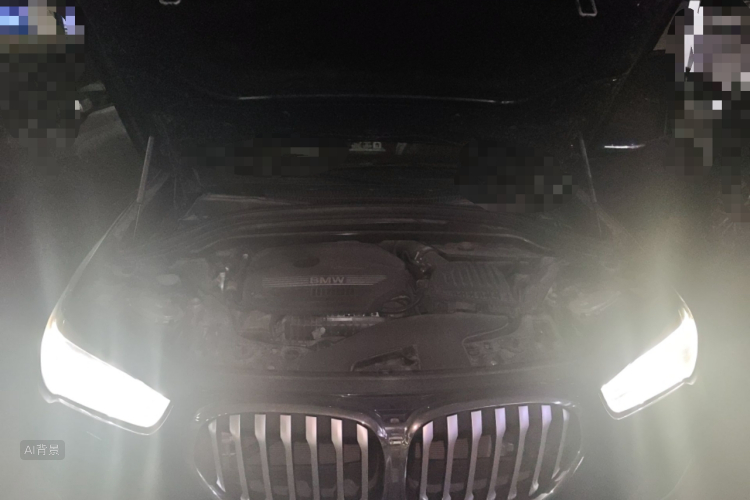 BMW X1 2020 car image #22