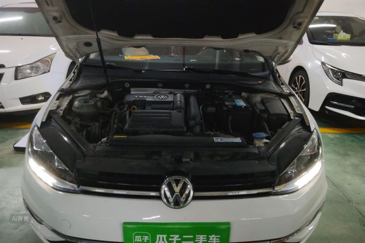 Volkswagen Golf 2019 #22 Volkswagen Golf 2019 car image #22
