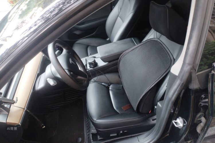 Tesla Model 3 2021 car image #17