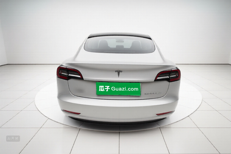 Tesla Model 3 2021 car image #6