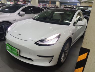 Tesla Model 3 2020 Tesla Model 3 2020 car image