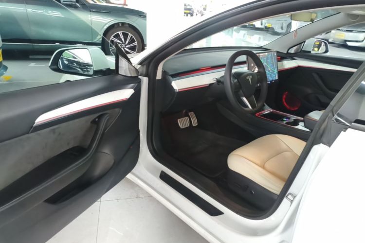 Tesla Model 3 2021 car image #12