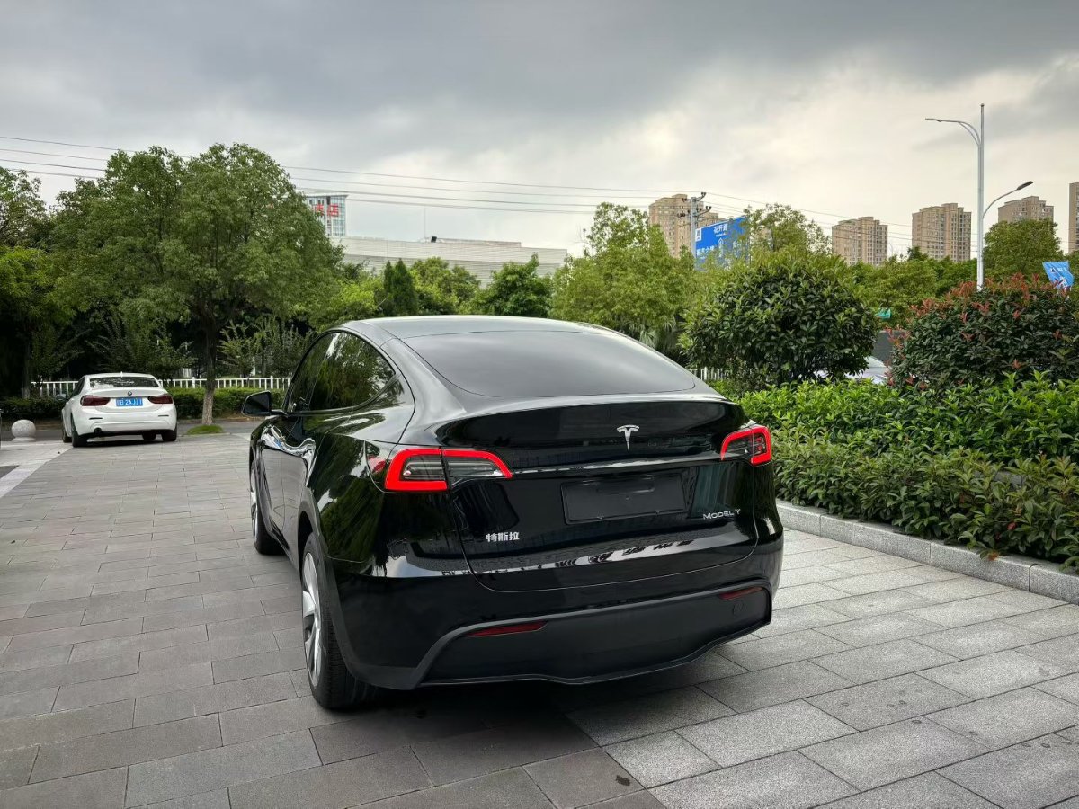 Tesla Model Y 2023 car image #7