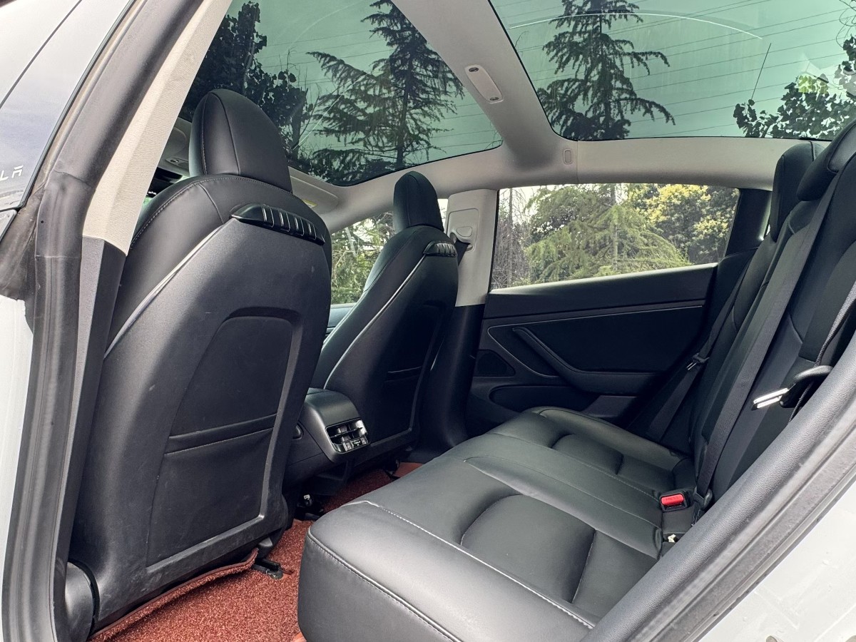 Tesla Model 3 2020 #6 Tesla Model 3 2020 car image #6