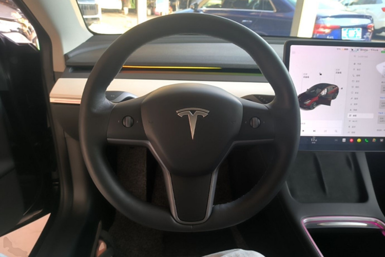Tesla Model 3 2021 immagine di auto #11