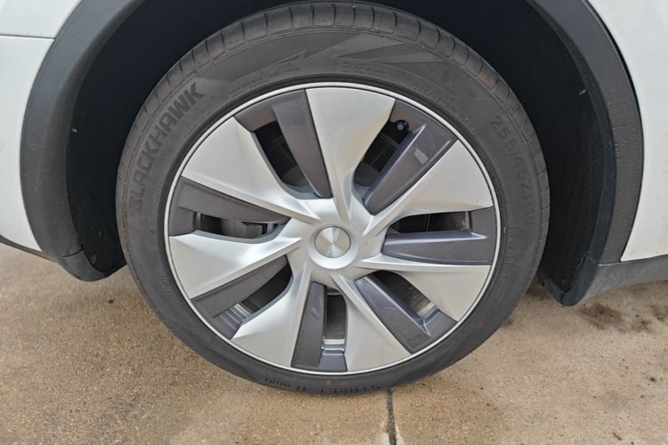 Tesla Model Y 2023 car image #10