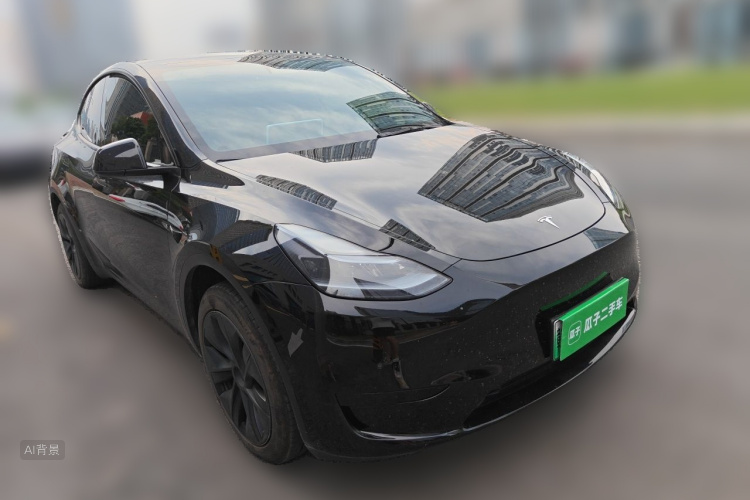 Tesla Model Y 2023 car image #4