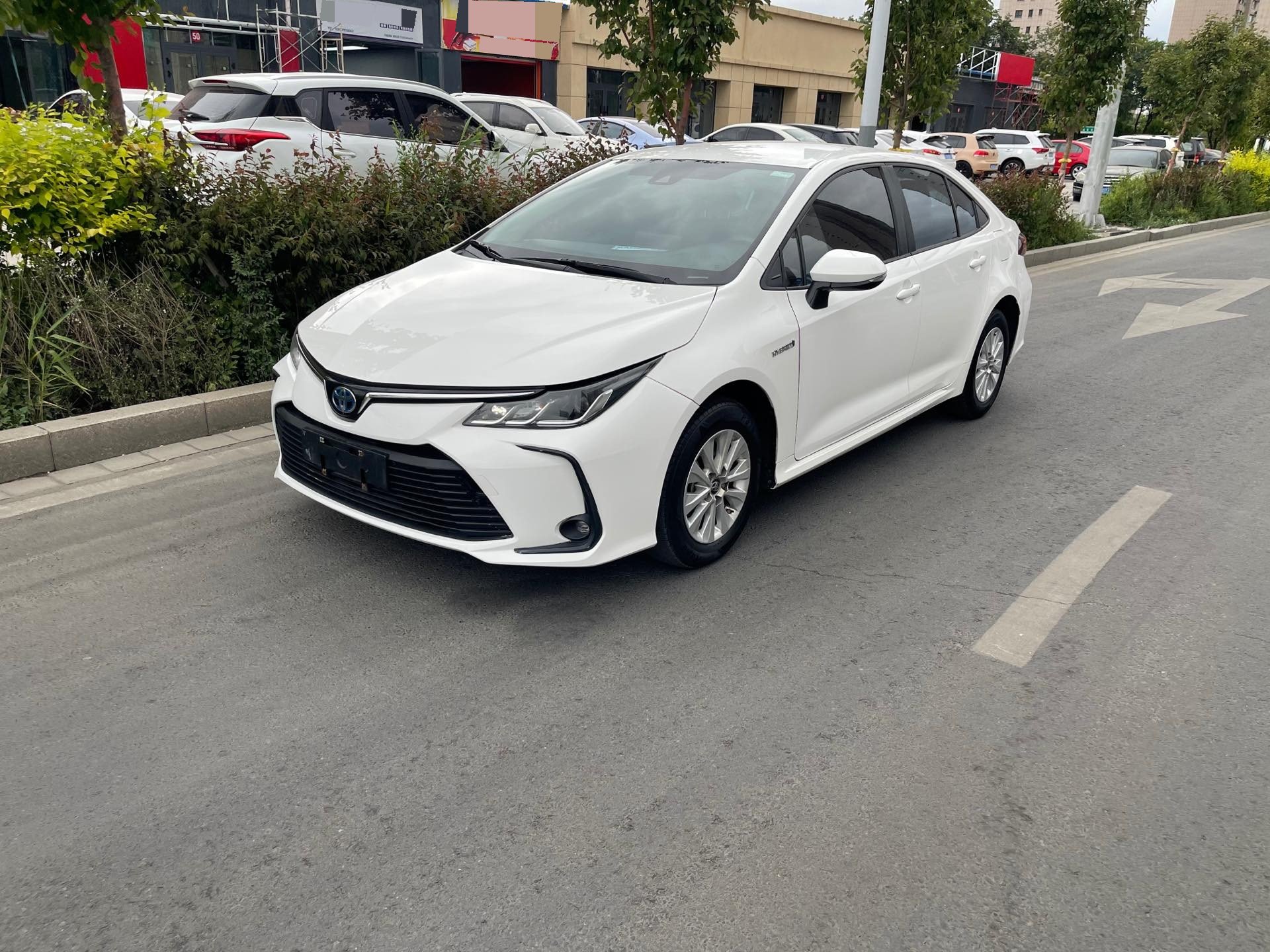 Toyota Corolla 2022 Toyota Corolla 2022 car image
