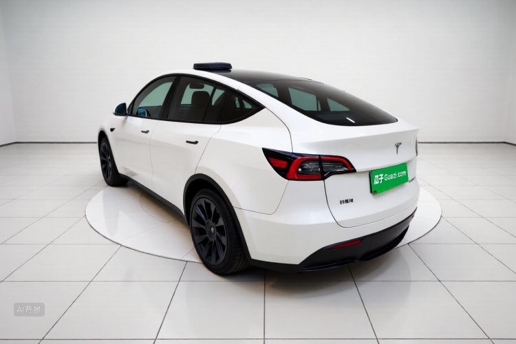 Tesla Model Y 2024 car image #5