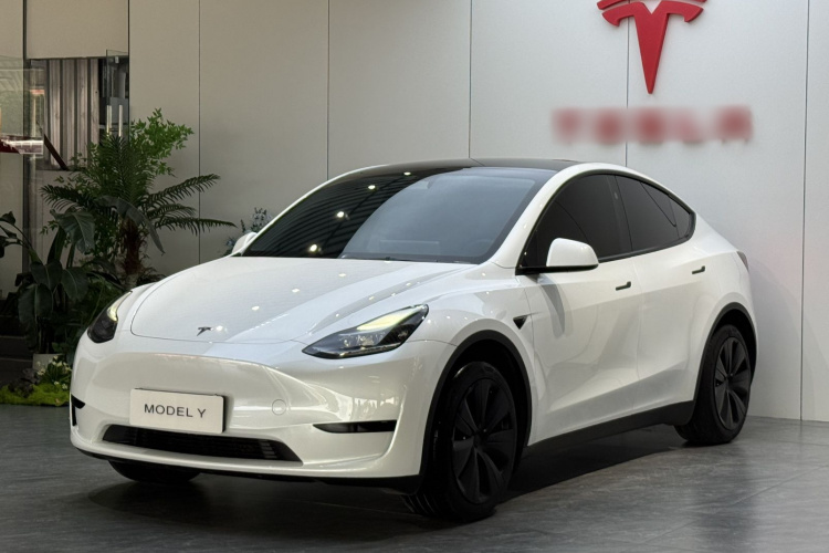 Tesla Model Y 2024 #2 Tesla Model Y 2024 car image #2