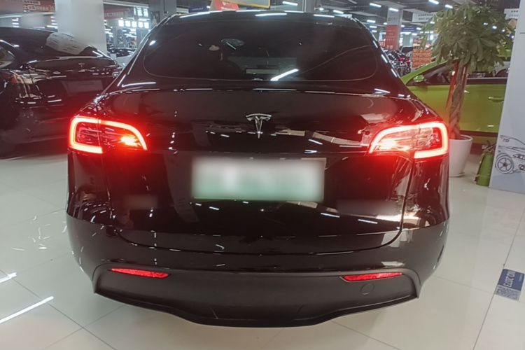 Tesla Model Y 2023 car image #6