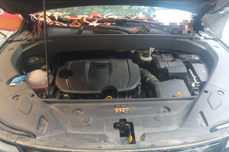 GEELY Boyue L 2025 صورة سيارة #22