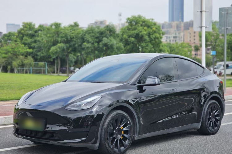 Tesla Model Y 2023 #2 Tesla Model Y 2023 car image #2