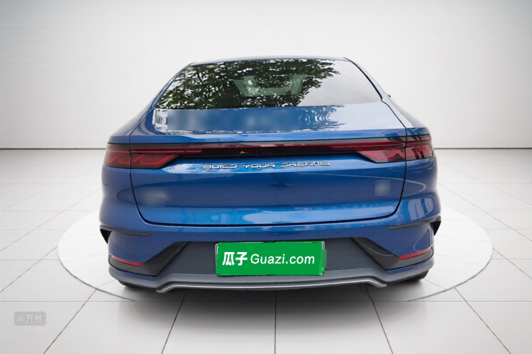 BYD Han 2022 immagine di auto #4