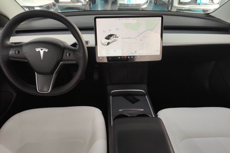 Tesla Model 3 2021 car image #13