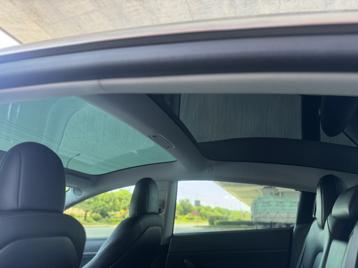 Tesla Model 3 2020 #6 Tesla Model 3 2020 car image #6