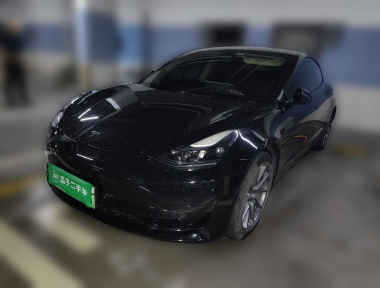 Tesla Model 3 2022 car image 