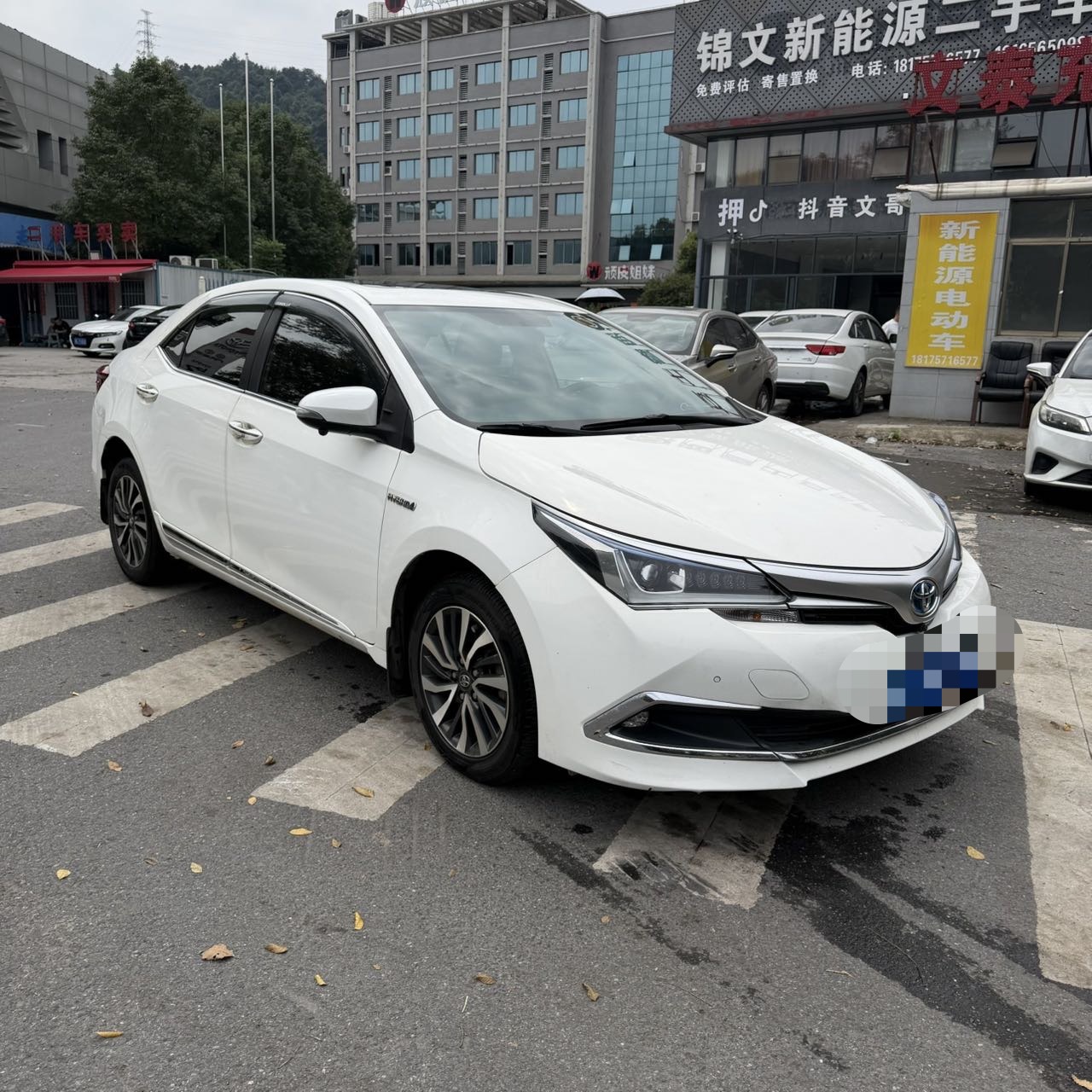 Toyota Corolla 2019 car image #3