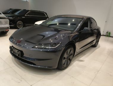 Tesla Model 3 2024 Tesla Model 3 2024 car image