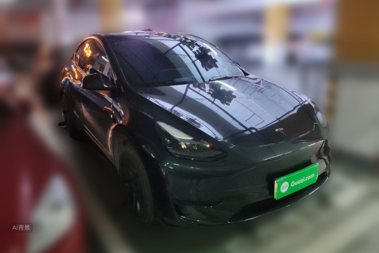 Tesla Model Y 2024 car image #4