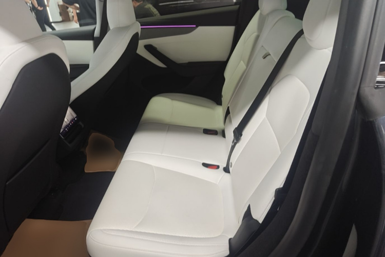 Tesla Model Y 2025 car image #17