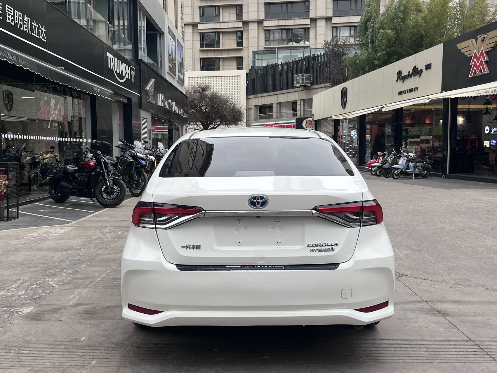 Toyota Corolla 2021 car image #8