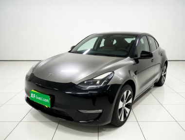 Tesla Model Y 2023 Tesla Model Y 2023 car image