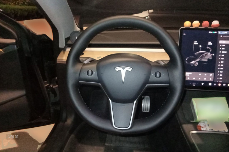 Tesla Model 3 2021 #12 Tesla Model 3 2021 immagine di auto #12
