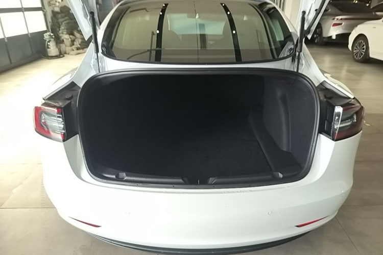 Tesla Model 3 2020 #19 Tesla Model 3 2020 car image #19