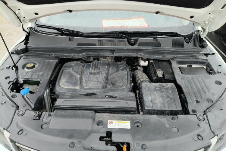GEELY Coolray 2019 immagine di auto #20