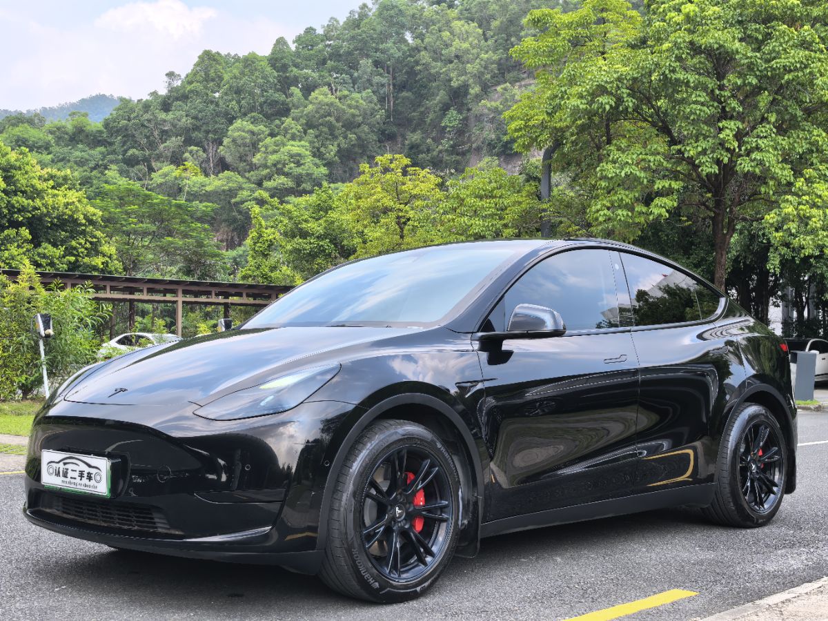Tesla Model Y 2022 car image 