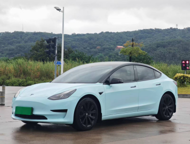 Tesla Model 3 2021 Tesla Model 3 2021 car image