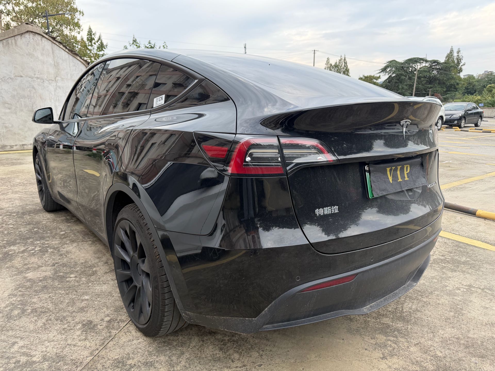 Tesla Model Y 2021 #5 Tesla Model Y 2021 car image #5