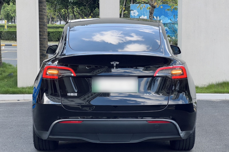 Tesla Model Y 2022 car image #5