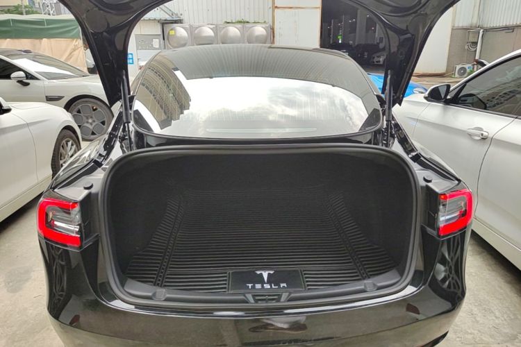 Tesla Model 3 2020 immagine di auto #21