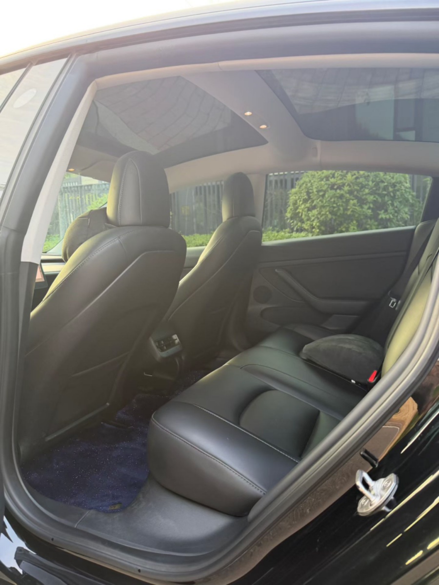 Tesla Model 3 2022 car image #5