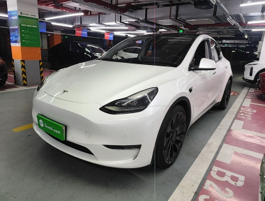 Tesla Model Y 2022 Tesla Model Y 2022 car image