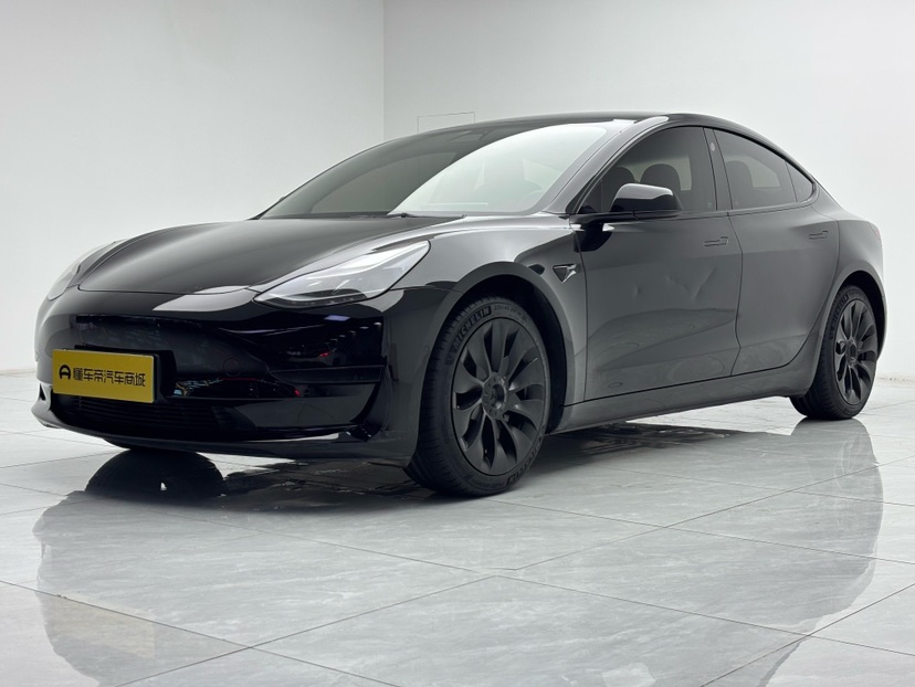 Tesla Model 3 2021 Tesla Model 3 2021 изображение автомобиля