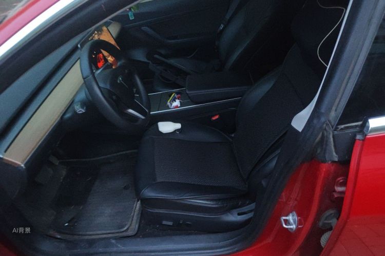 Tesla Model 3 2020 #17 Tesla Model 3 2020 car image #17
