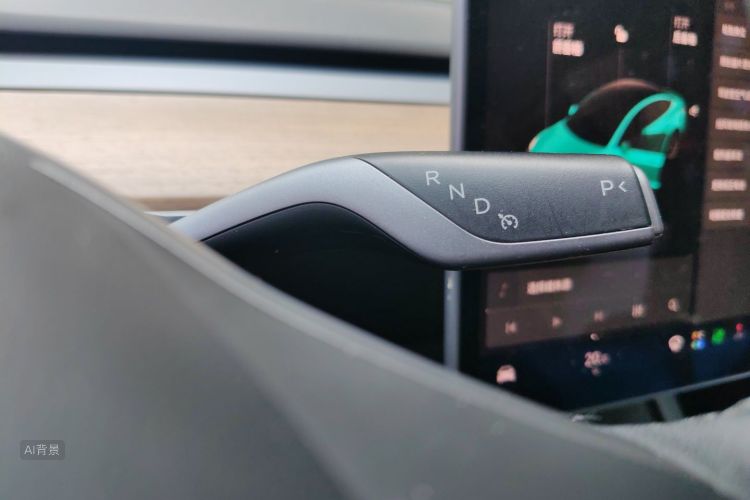 Tesla Model 3 2021 car image #16
