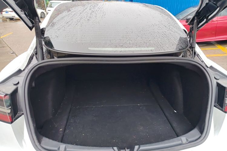 Tesla Model 3 2022 car image #19